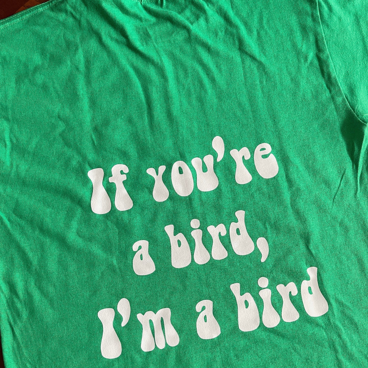 If You’re a Bird Kids Tee